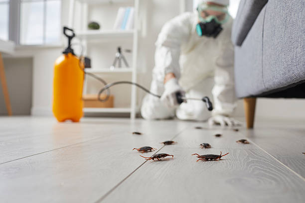 Commercial Kitchen Cockroach Control in Blue Island